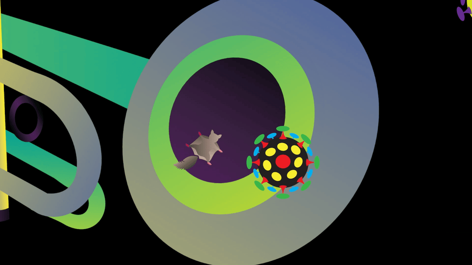 Un extrait de l'animation avec les molecules covid et la polatouche qui vole