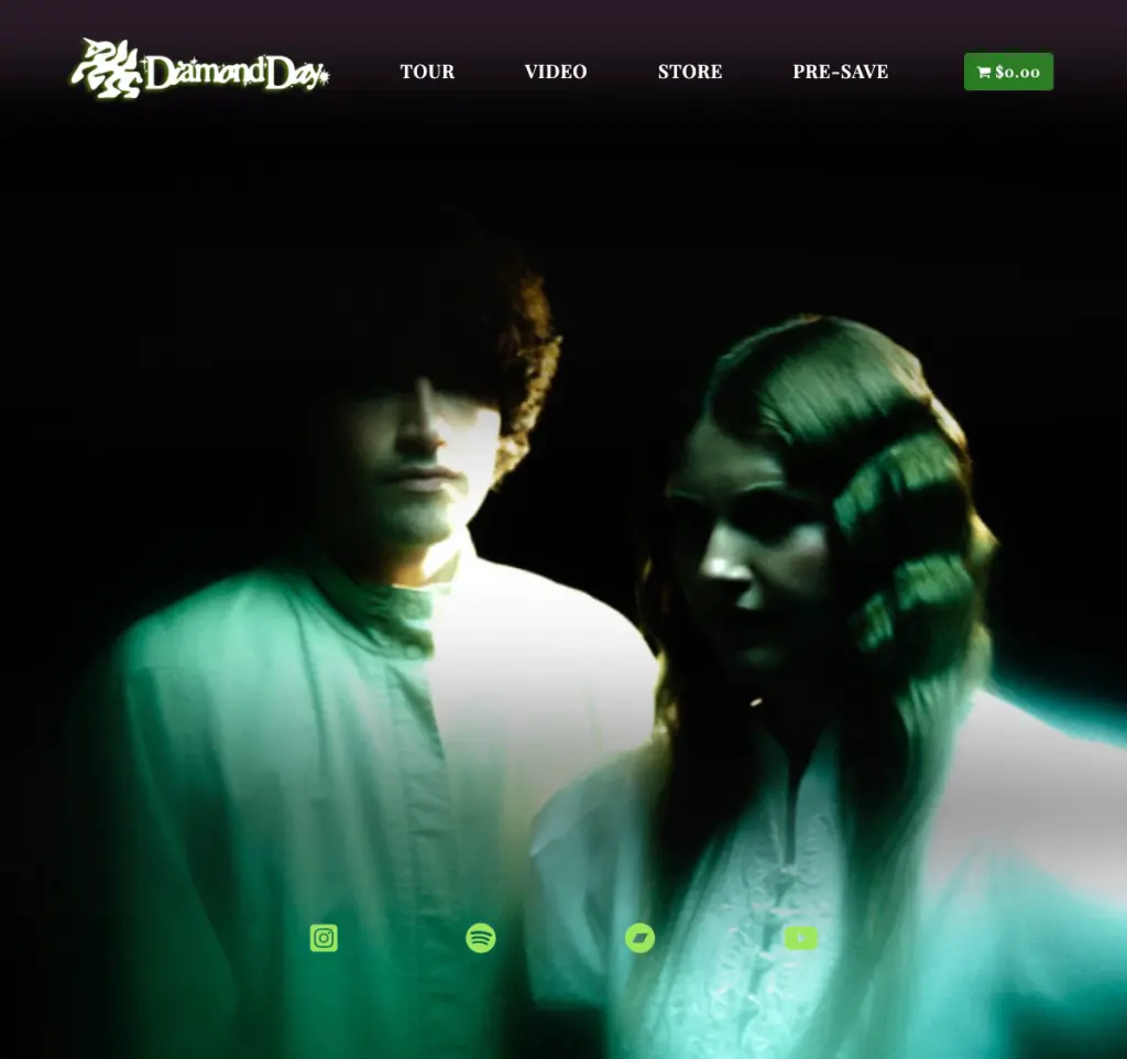 A young man and woman photographed on a dark background, posterized image in shades of pale green and white